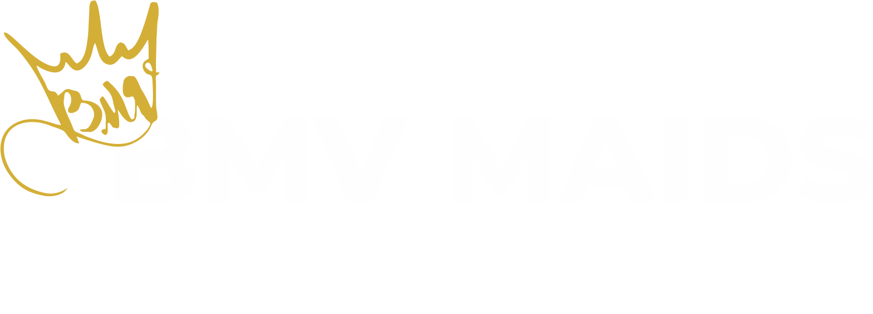 BMV PNG Logo